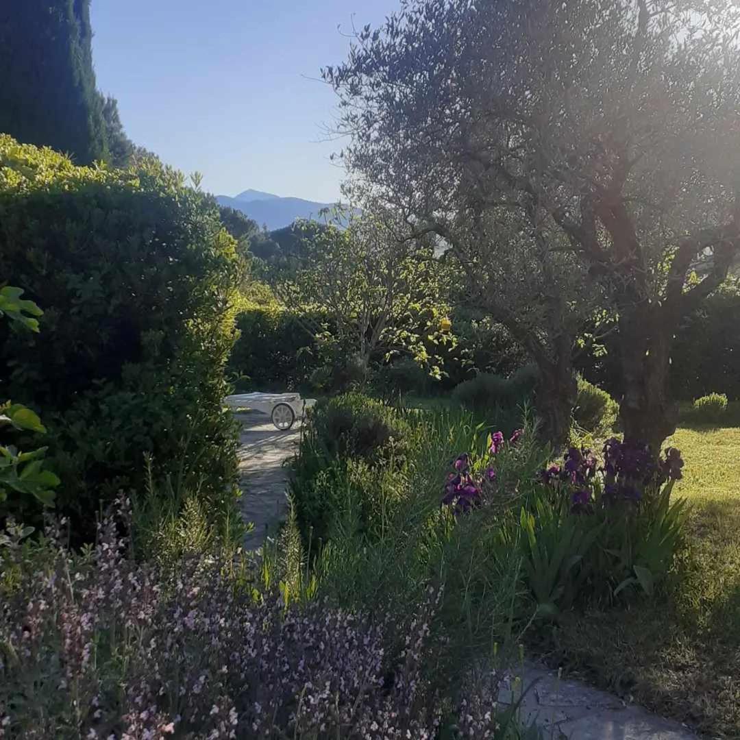 Les Verveines De Vaison ภายนอก รูปภาพ