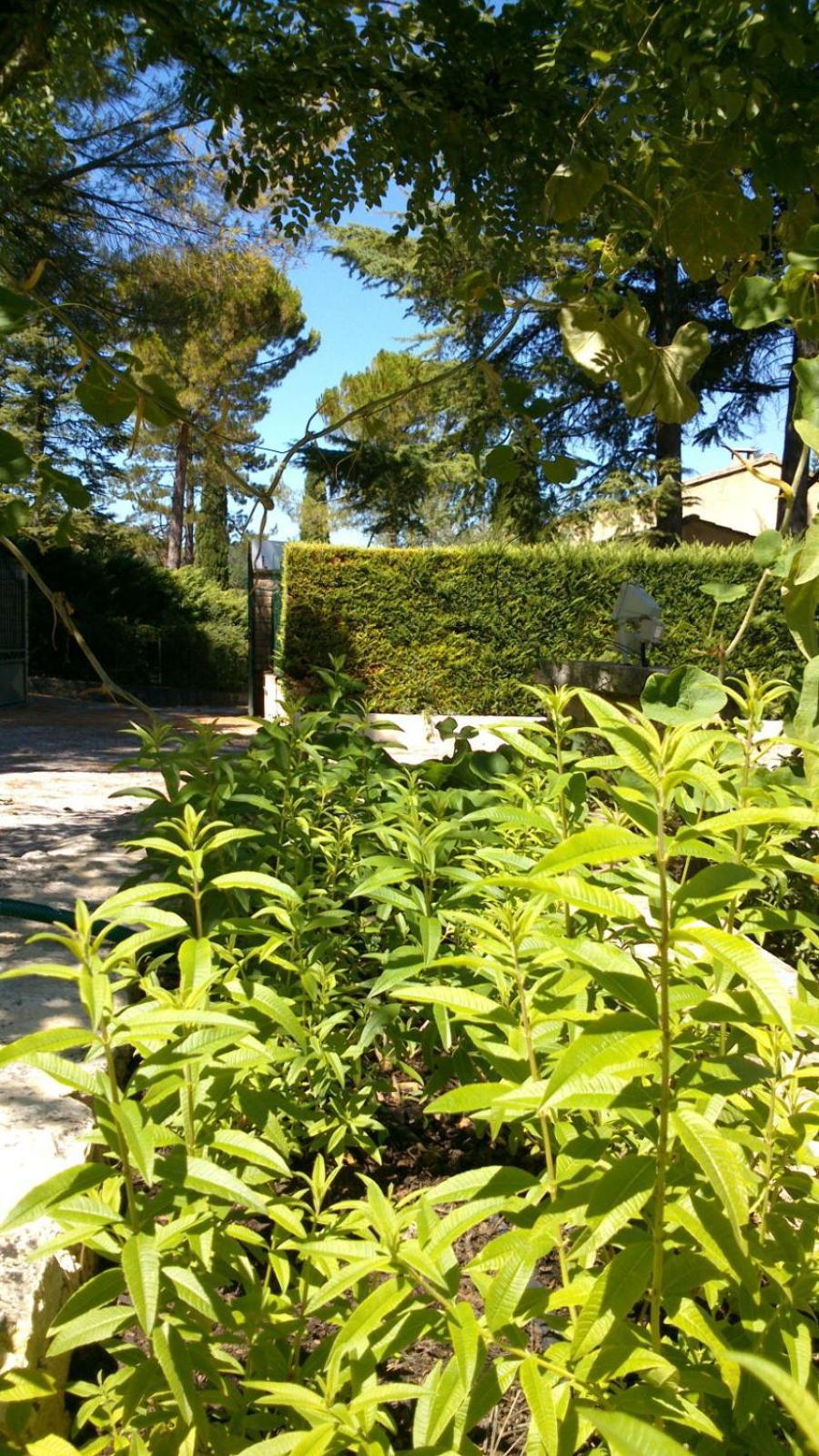 Les Verveines De Vaison ภายนอก รูปภาพ